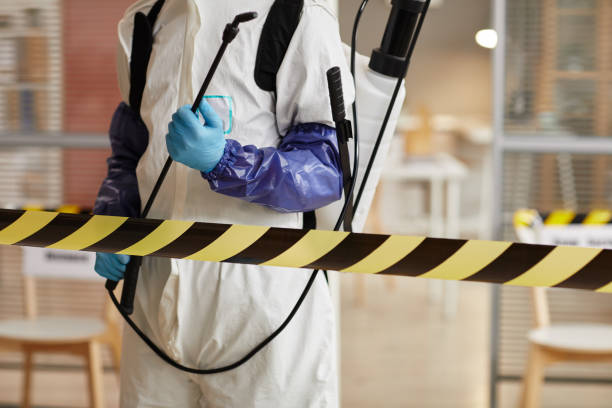 Professional Hoarding Cleanup technician working in Sparta, MI